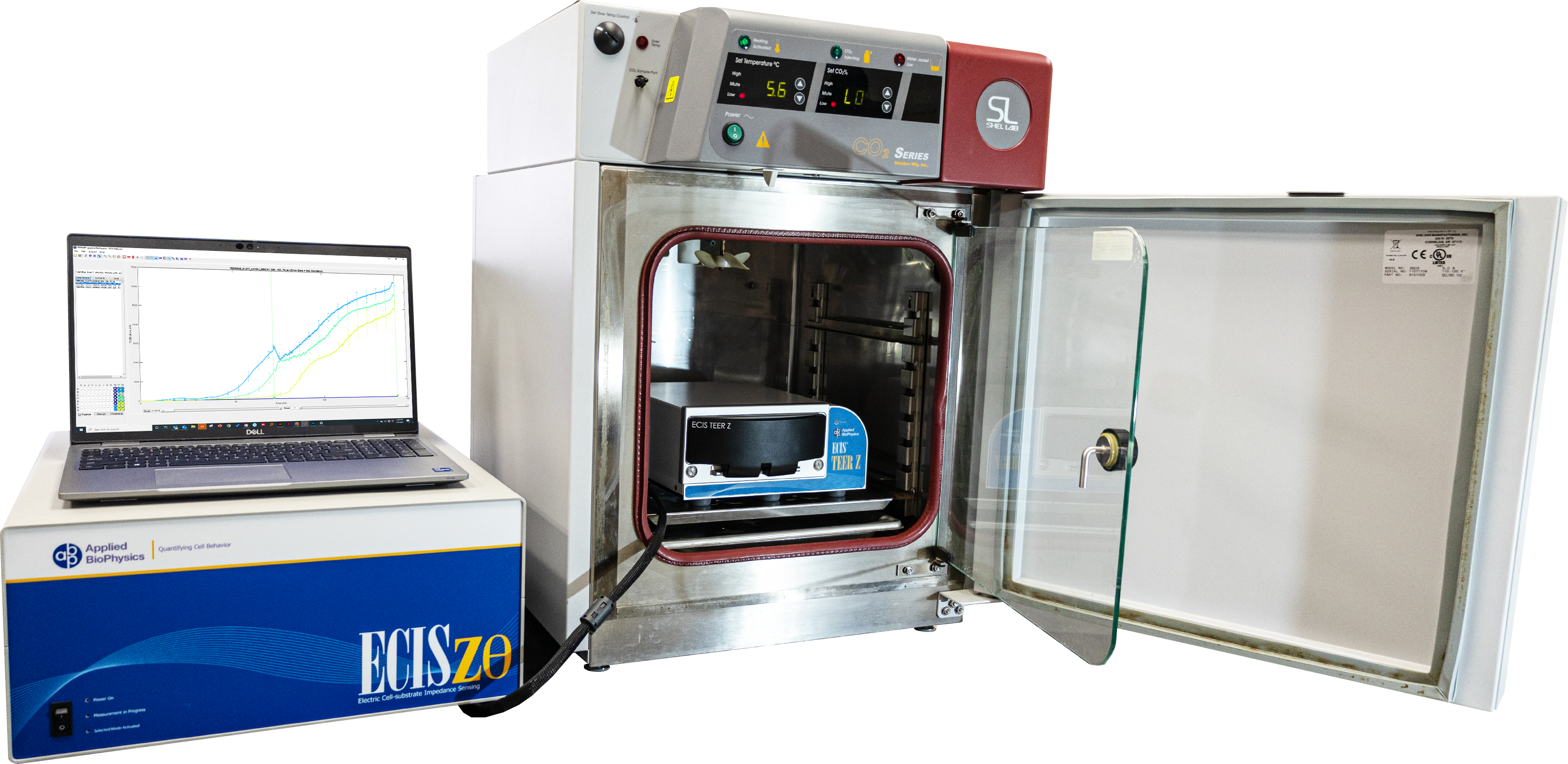 請?zhí)顚憳?biāo)題