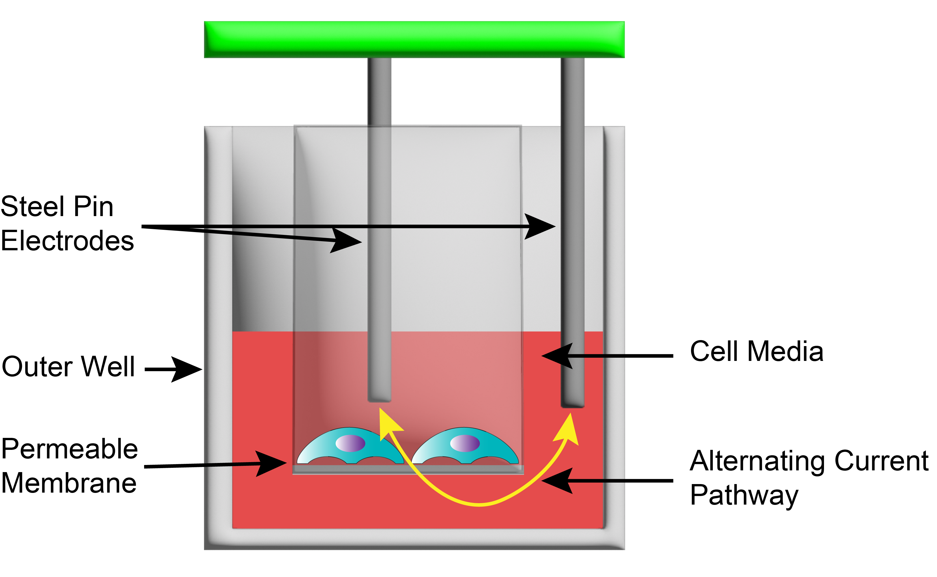 請?zhí)顚憳?biāo)題