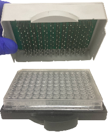 請?zhí)顚憳?biāo)題